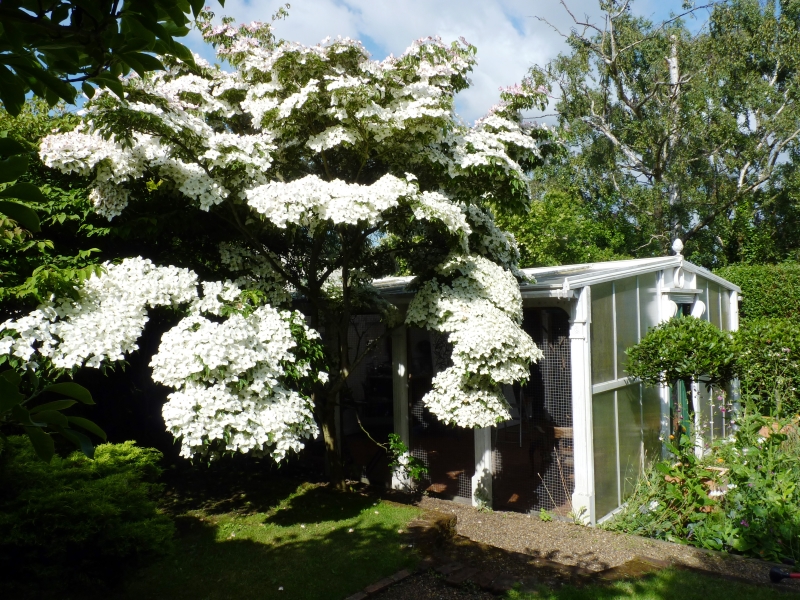 West Malling Early Summer Gardens